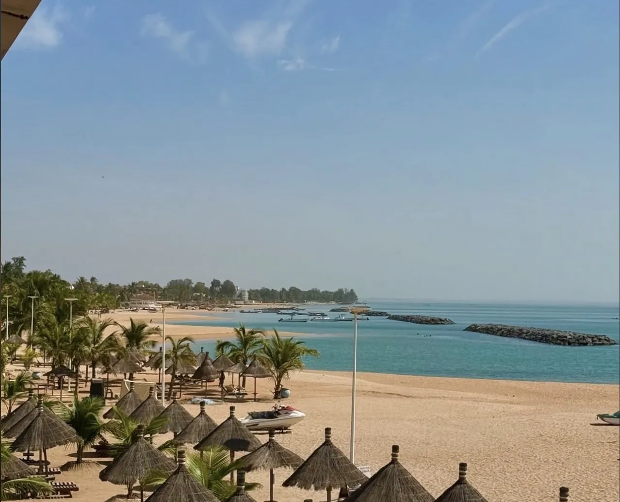 Saly